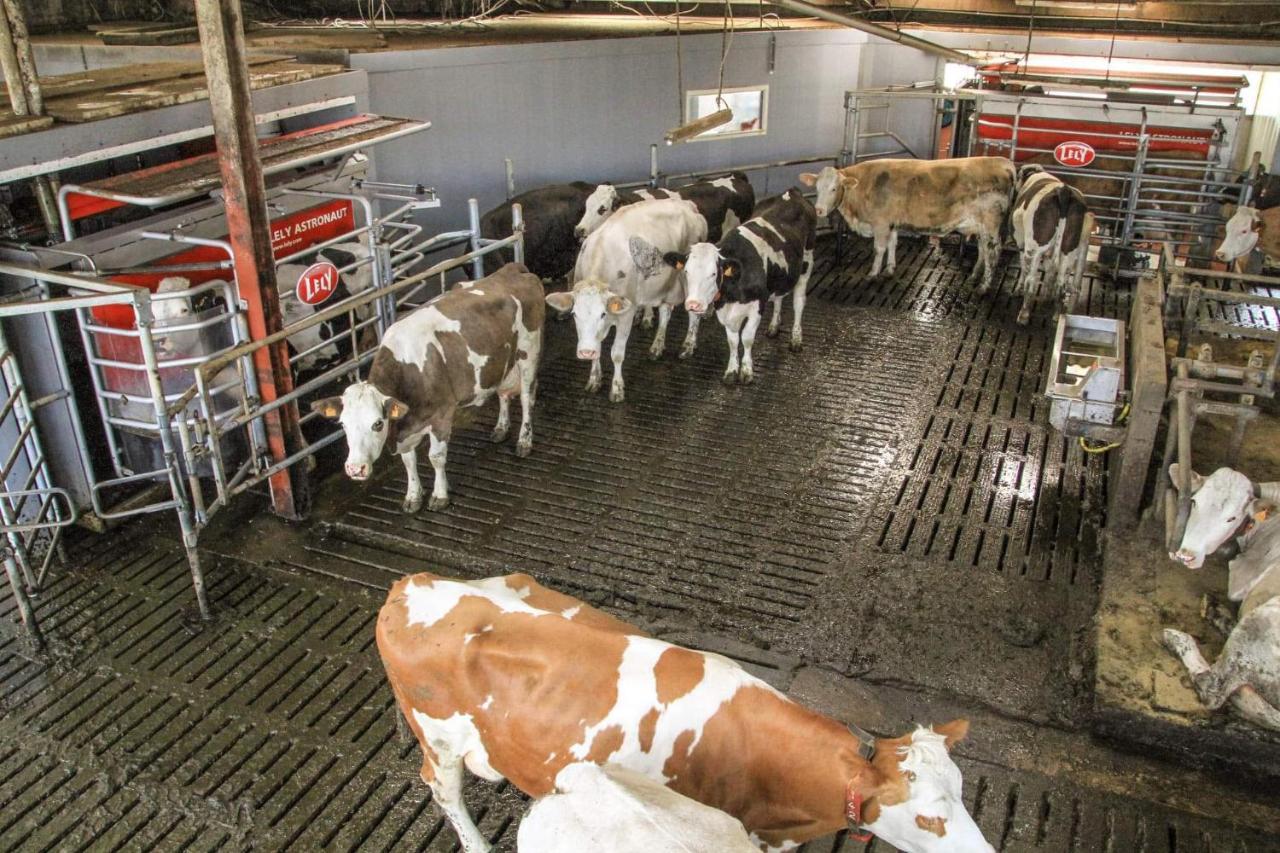 Gite A La Ferme Rouvroy Eksteriør bilde